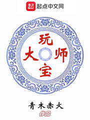 玩宝大师免费阅读宝