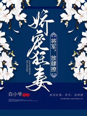 娇宠狂妻:将军