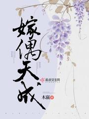 嫁偶天成起点