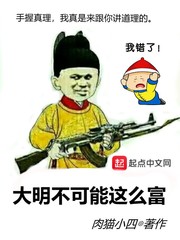 大明不可能那么富