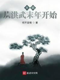 大明从洪武末年开始顶点