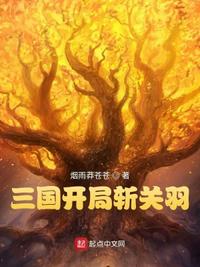 三国志威力无双关羽