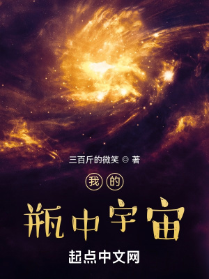 我的瓶中宇宙 起点中文网