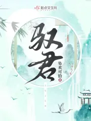 驭君记之倾世神偷漫画免费观看