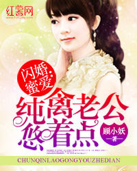 闪婚蜜爱纯禽老公悠着点epub