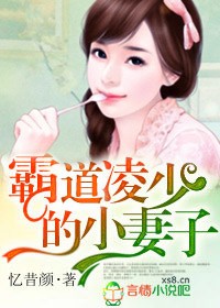 霸道凌少的小妻子陆启琳