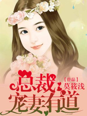 闪婚成爱总裁宠妻有道