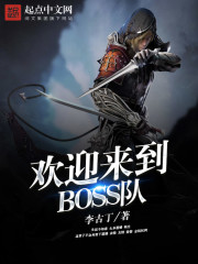 欢迎来到boss队起点