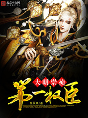 大明崇祯第一权臣精校版